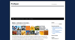 Desktop Screenshot of profilyzer.com
